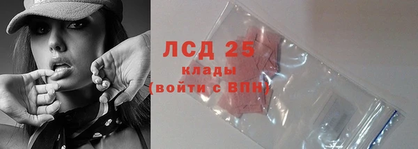 apvp Анива